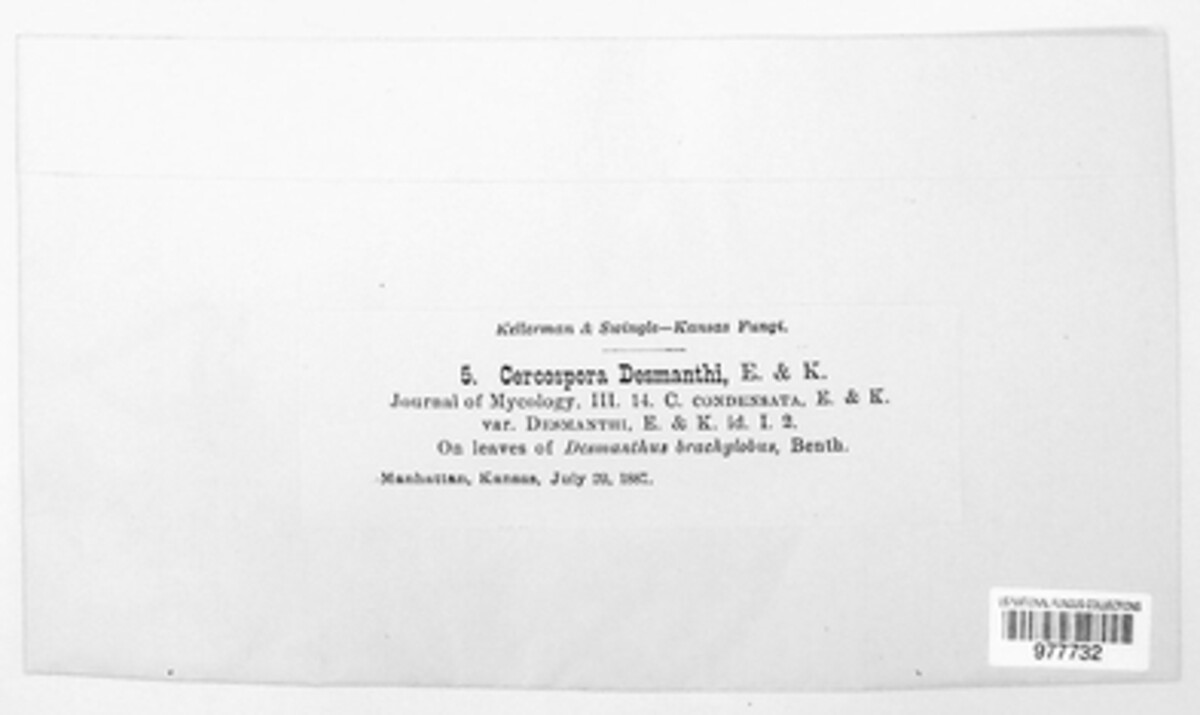 Passalora desmanthi image